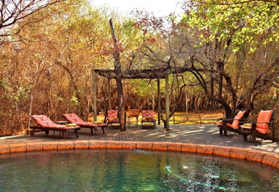 Bush swimming pool at Jaci's Tree Lodge Marico River Madikwe Game Reserve