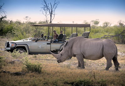 Big Seven wildlife game drive at Jaci's Tree Lodge Madikwe Game Reserve South Africa