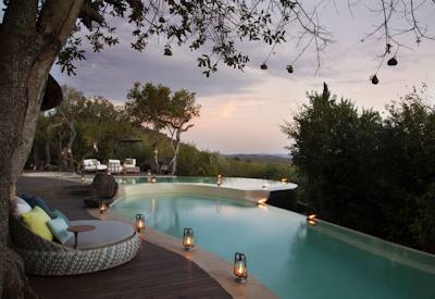 Rim-flow swimming pool at Molori Safari Lodge Madikwe Game Reserve