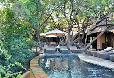 Rim-flow swimming pool overlooking waterhole at Motswiri Safari Lodge Madikwe