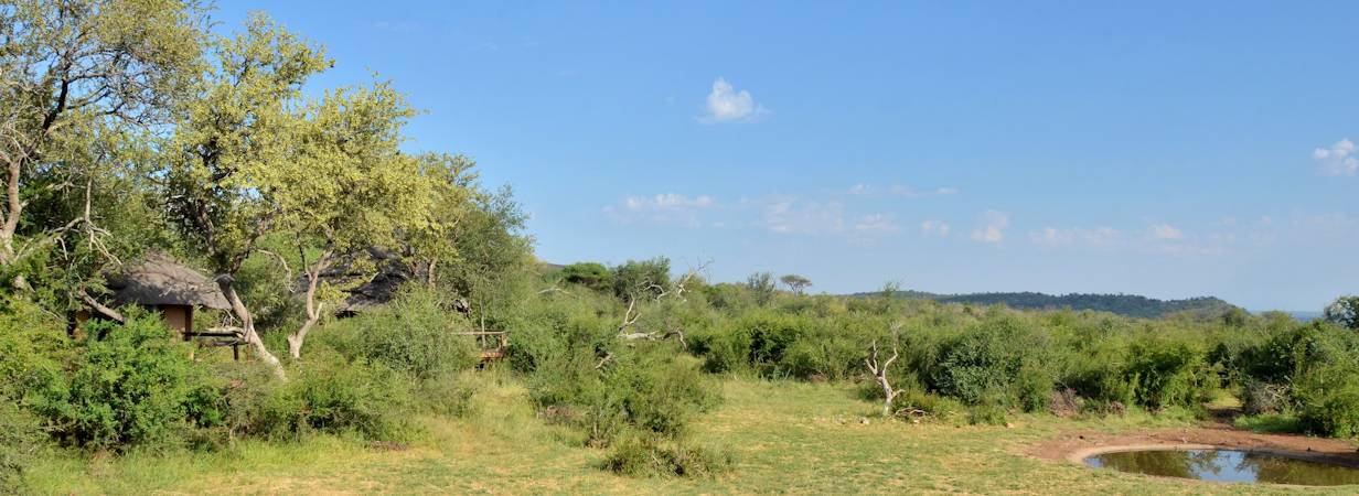Motswiri Safari Lodge