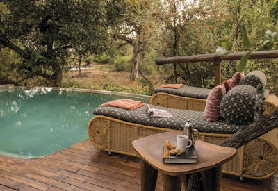 Rim-flow swimming pool overlooking waterhole at Tuningi Safari Lodge Madikwe Game Reserve
