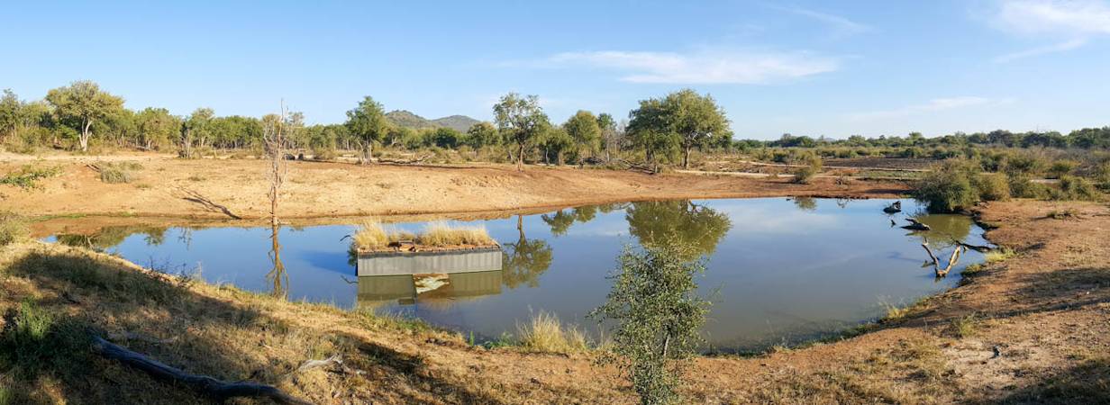 Jaci's Terrapin Hide