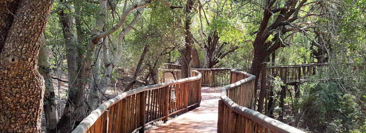 Jaci's Tree Lodge Photo Gallery