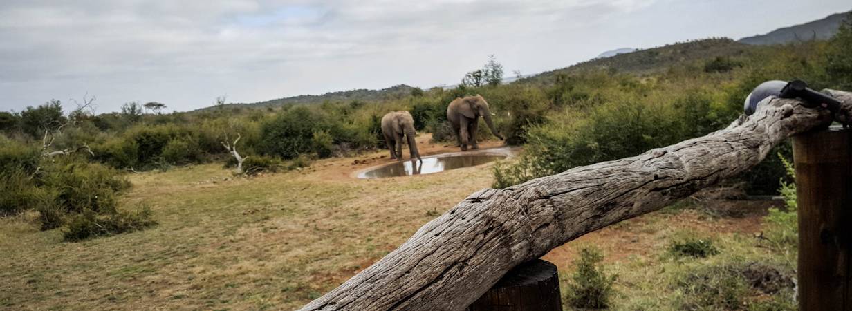 Motswiri Safari Lodge Photo Gallery
