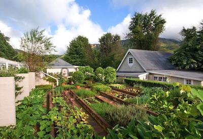 Farm-to-table kitchen vegetable garden at Cleopatra Mountain Farmhouse Drakensberg