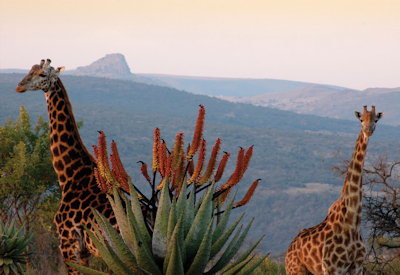 Anglo-Zulu War Isandlwana and Rorke's Drift battlefield tour KwaZulu-Natal South Africa