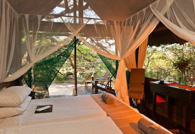 Elevated thatched tented bush suite under Zululand forest canopy at Kosi Forest Lodge