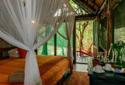 Al fresco outdoor dining under forest canopy at Kosi Forest Lodge iSimangaliso KwaZulu-Natal