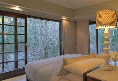 Glass-fronted suite with panoramic views into Phinda sand forest AndBeyond Phinda Forest Lodge