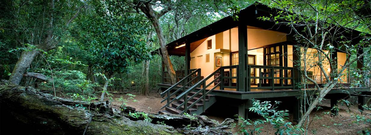 Phinda Forest Lodge