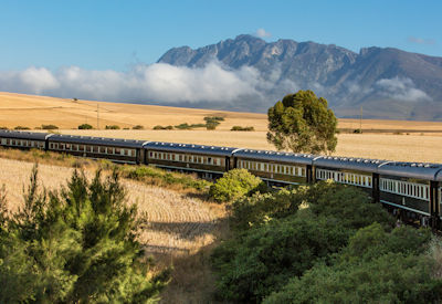 Leopard Creek golf Kruger National Park game drive Rovos Rail African Collage South Africa