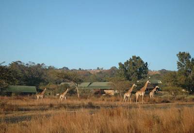 Rorkes Drift Anglo-Zulu War battlefield mission station KwaZulu-Natal South Africa safari