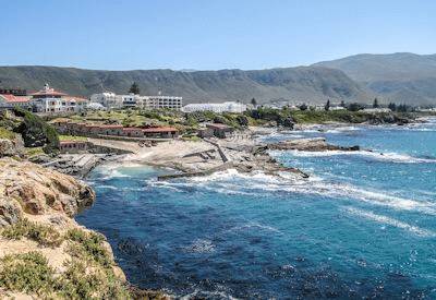 African Penguin colony Betty's Bay Overberg Cape Town Hermanus self-drive safari South Africa