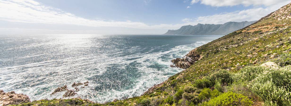 Cape Town & Hermanus Safari