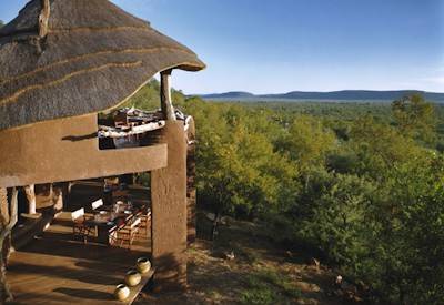 Madikwe Game Reserve Big Five malaria-free self-drive safari North West South Africa