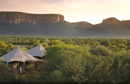Marakele National Park Waterberg Big Five malaria-free Cape Town safari South Africa