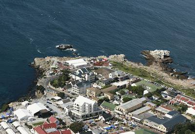 Hermanus Southern Right Whale watching best land-based whale watching world Overberg South Africa