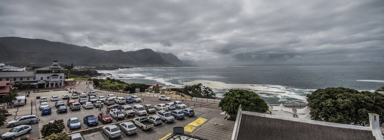 Cape Town to Knysna self drive safari