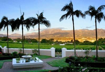 Franschhoek wine estate tasting room finest wines Africa Cape Town Wine Whales safari