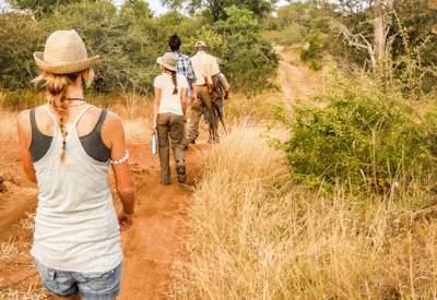 Sundowners open vehicle evening game drive Kruger bush walking safari South Africa