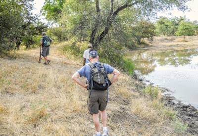 Hearty bush breakfast tented camp Kruger on foot walking safari Greater Kruger South Africa