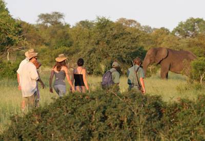 Sleeping under stars bush camp Rhino Post walking trail Kruger National Park South Africa