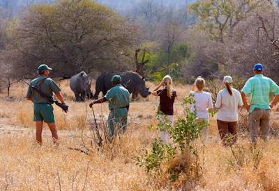 Kruger National Park private concession walking safari maximum 8 guests South Africa