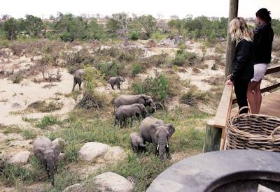 Londolozi Varty Camp Sand River Sabi Sand Game Reserve fly-in safari South Africa