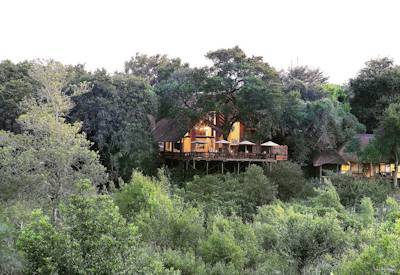 Guided bush walk ranger Londolozi Varty Camp Sabi Sand Game Reserve fly-in safari South Africa