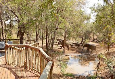 Madikwe Game Reserve Big Five malaria-free North South self-drive safari South Africa