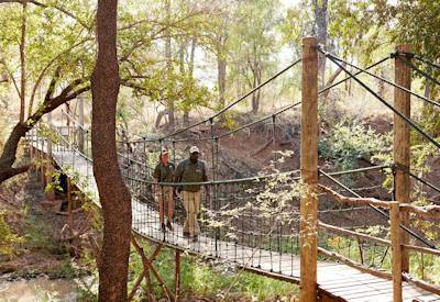 Jaci's Safari Lodge northern Madikwe Game Reserve family malaria-free Big Five South Africa