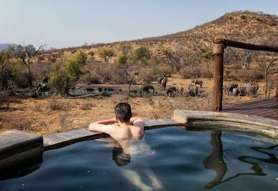 Swimming pool Madikwe Game Reserve luxury lodge North South Safari South Africa