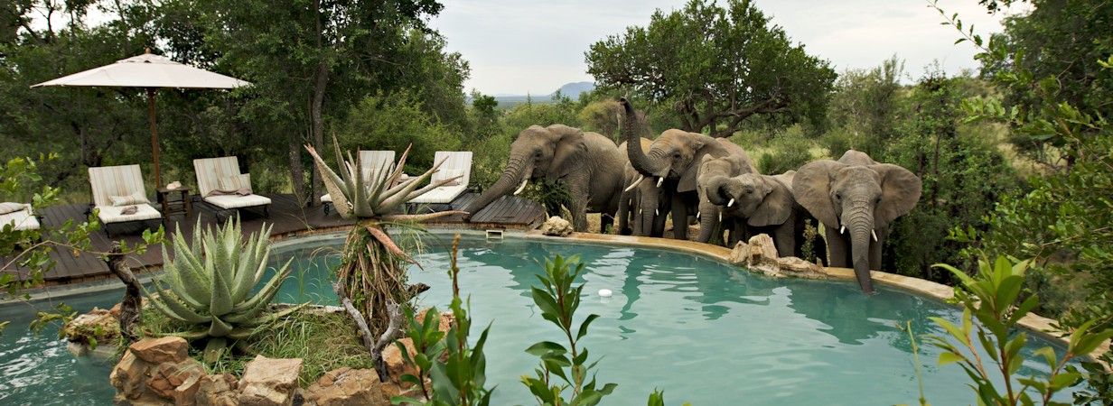 Madikwe North & South Safari