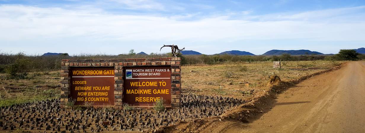 Madikwe Self Drive Safaris