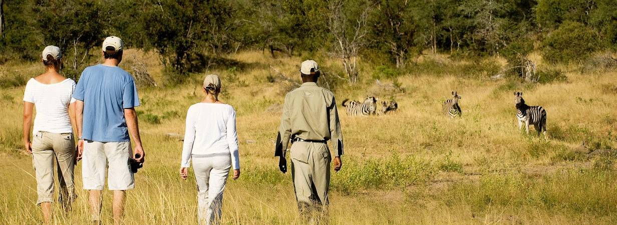 Ngala Walking Safari