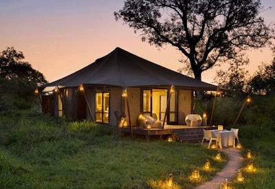 4 to 5 hour morning walk armed ranger Ngala Game Reserve Greater Kruger South Africa