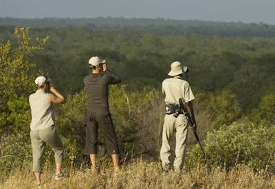 Afternoon high tea Ngala walking safari luxury tented camp Greater Kruger South Africa