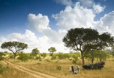 Al fresco dinner under stars Ngala walking safari Greater Kruger South Africa