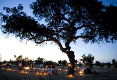 Sundowners private spot African sunset Ngala walking safari Greater Kruger South Africa