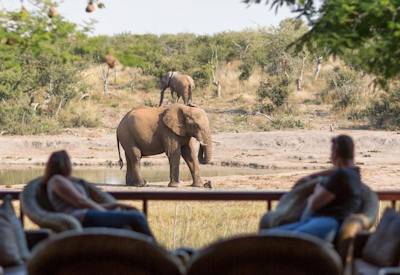 Madikwe Game Reserve Big Five malaria-free Northern Malaria Free Safari South Africa