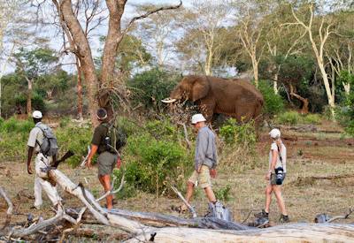 Open fire camp dinner Pafuri walking safari northern Kruger National Park South Africa