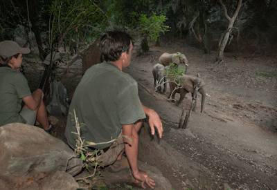 10km guided walk Pafuri concession northern Kruger maximum 8 guests South Africa