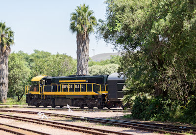 Hwange National Park Zimbabwe Rovos Rail Pretoria to Victoria Falls train safari
