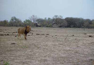 Rhino Post Safari Lodge private Kruger concession borders MalaMala Sabi Sand South Africa