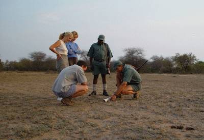 Optional sleep-out under stars Rhino Post Plains Camp Kruger National Park South Africa