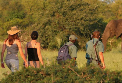 Close white rhino encounter on foot armed ranger Kruger National Park walking safari South Africa