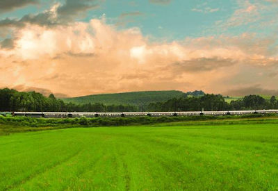 Pretoria To Durban Rail Safari