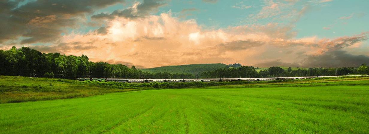 Rovos Rail, Pretoria to Durban Train Safari