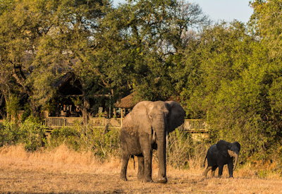 Light aircraft Johannesburg to Sabi Sabi Game Reserve fly-in safari Greater Kruger South Africa